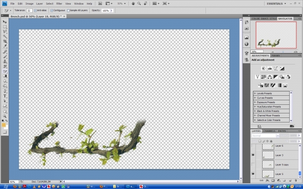 Creation of Branch: Step 3